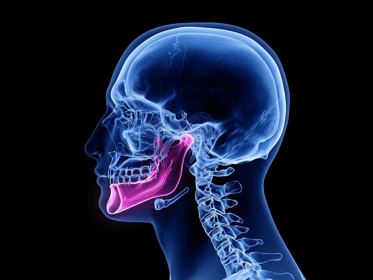 3d rendered medically accurate illustration of the jaw bone